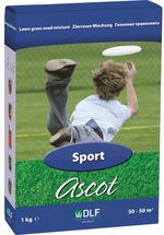 Ascot sport1.jpg